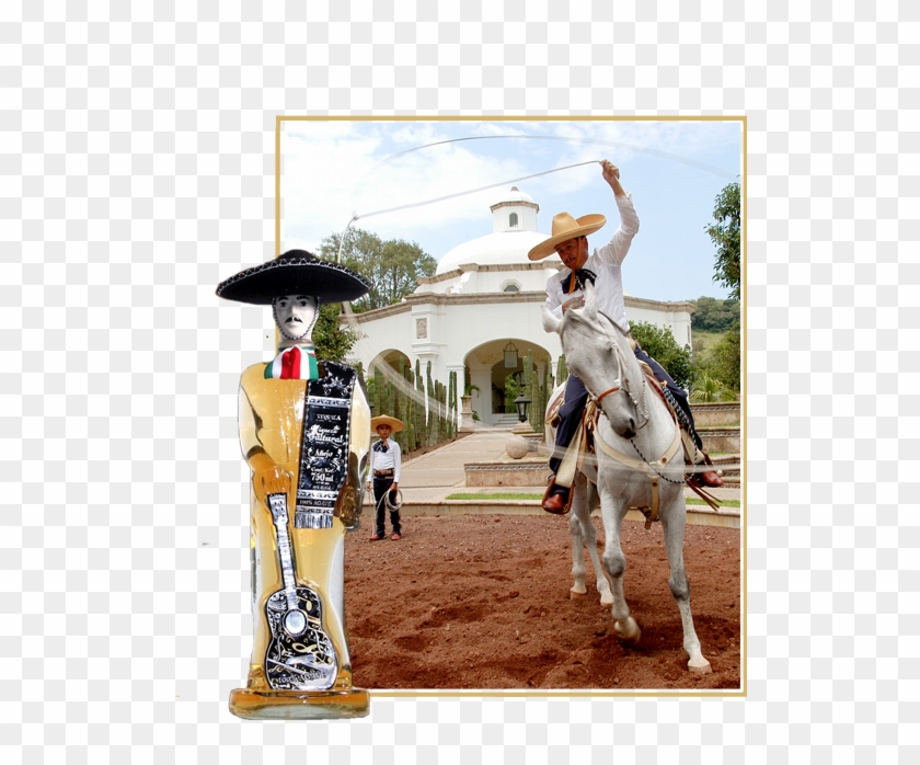 Tequividrio - Tequila Jalisco 2017 Clipart #3306938