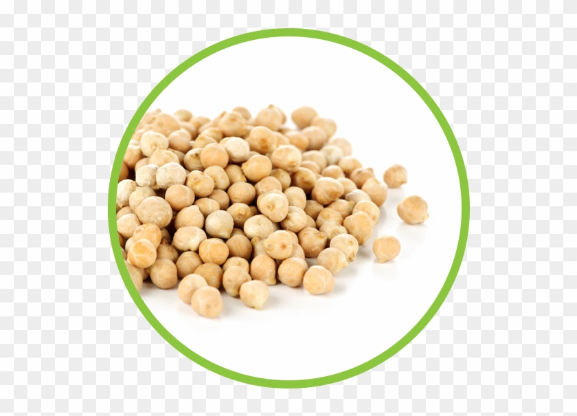 Chickpea Md Circle - Sex Power Increase By Food Clipart #3308894