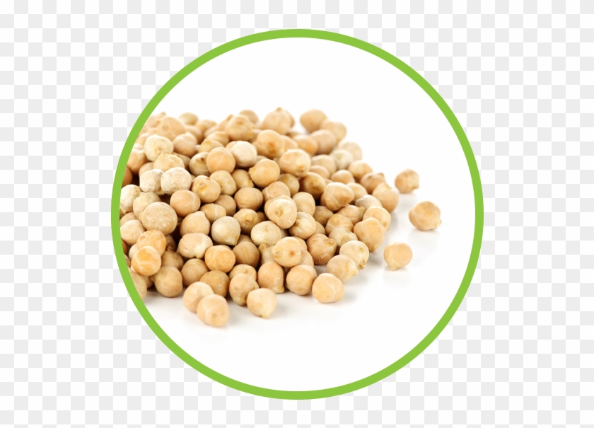 Chickpea Md Circle - Sex Power Increase By Food Clipart