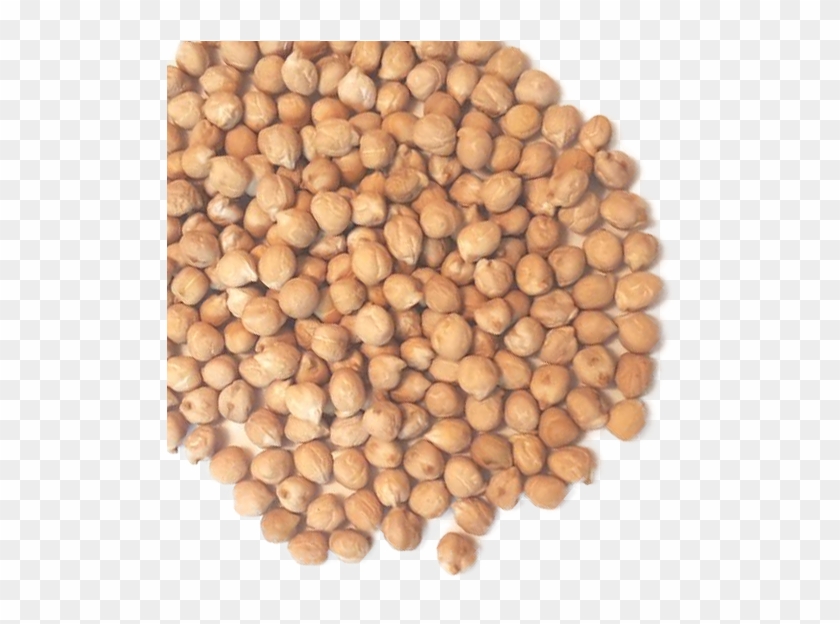 A Grade Chickpeas - Chickpea Clipart #3309385