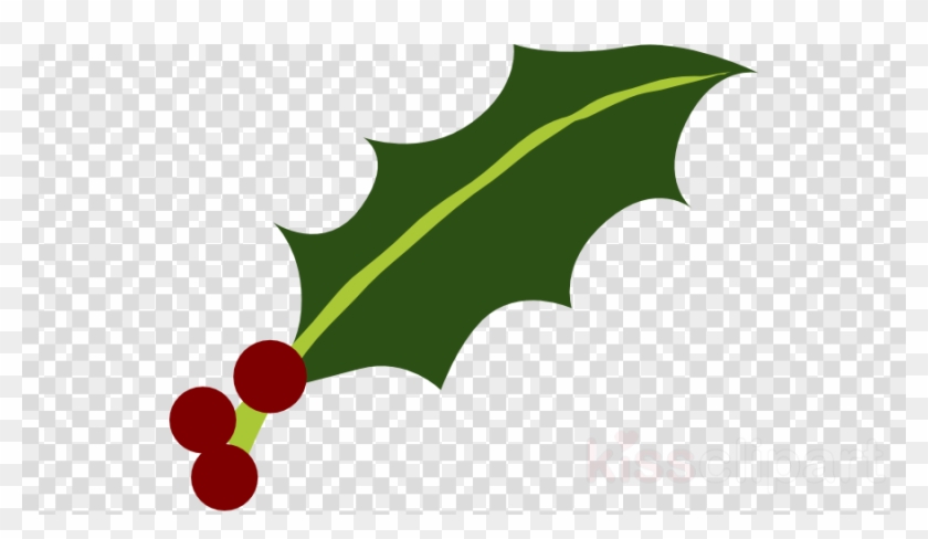 Download Holly Leaf Png Clipart Common Holly Yaupon - Question Marks No Background Transparent Png #3310077