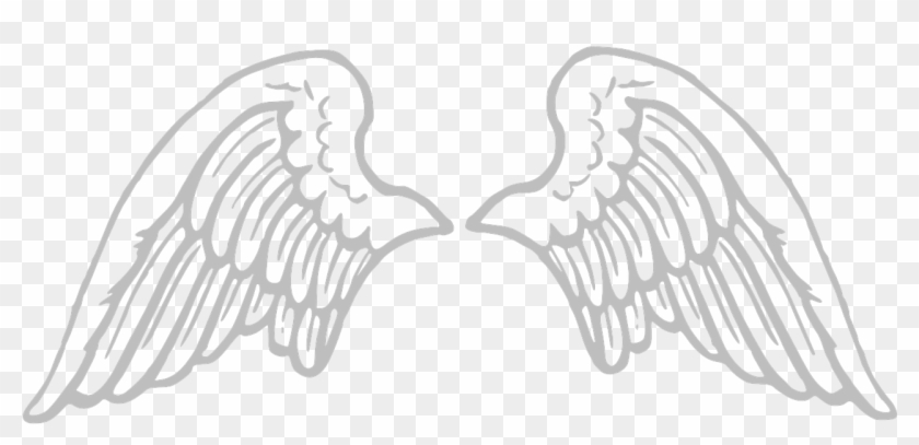 Vector - Baby Angel Wings Png Clipart #3311231