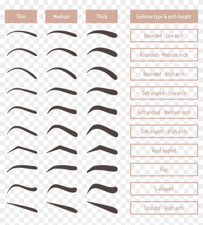 Ancient Egyptian Women Sported Arched Brows Darkened Clipart #3311541