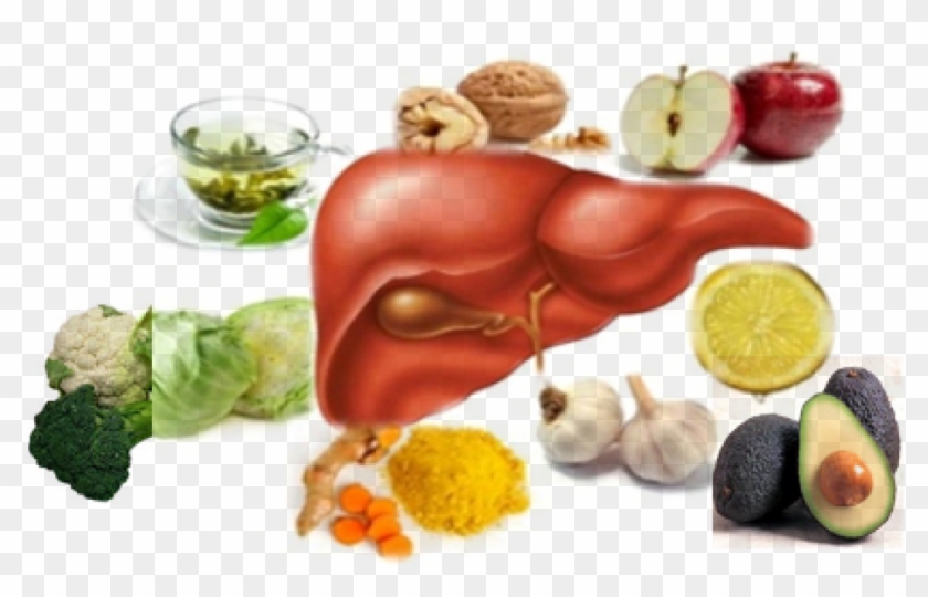 Como Cuidar Tu Hígado - Liver Clipart #3311746
