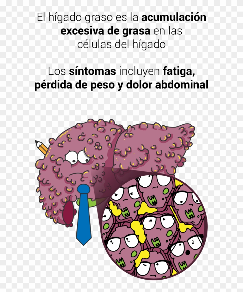 Hígado Graso - Cartoon Clipart #3312166