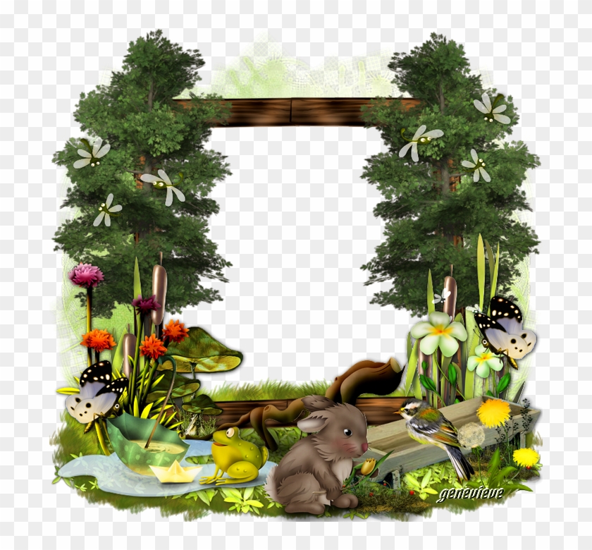 625163clusterflamantrose 638635clustermarguerite 646887mer - Png Cartoon Jungle Frame Clipart