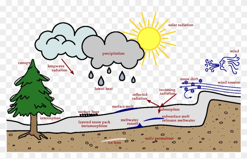 Physical Processes - Christmas Tree Clipart