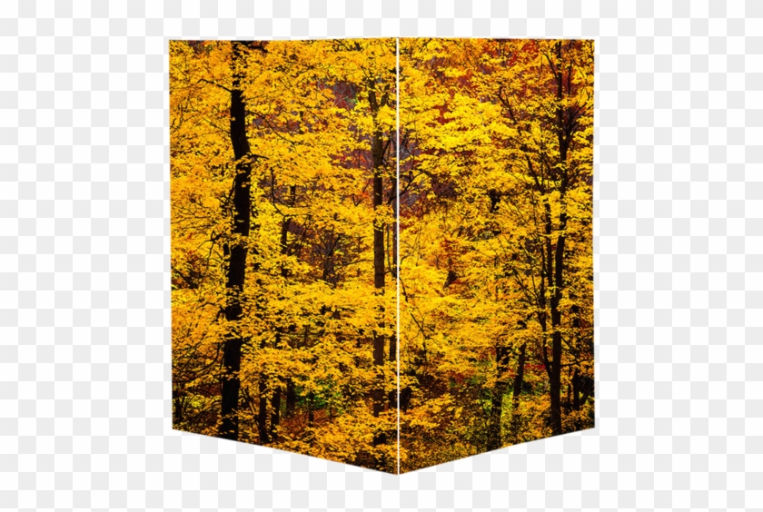 Visual Arts Clipart #3312966