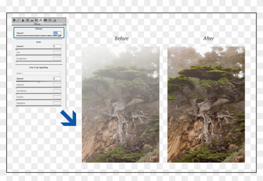 Acr Dehaze Illustration - Point Lobos Clipart #3313430