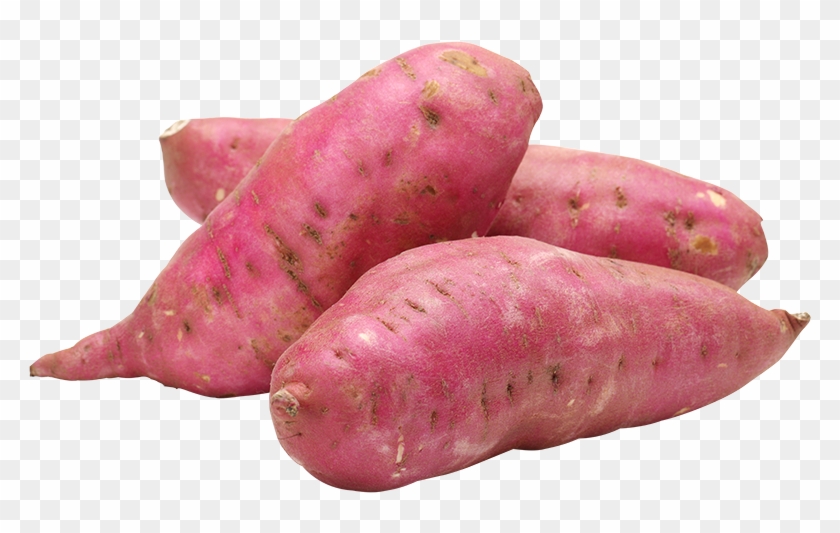 Batata Doce Rosa2018 03 072018 03 07http - Red Kumara Clipart