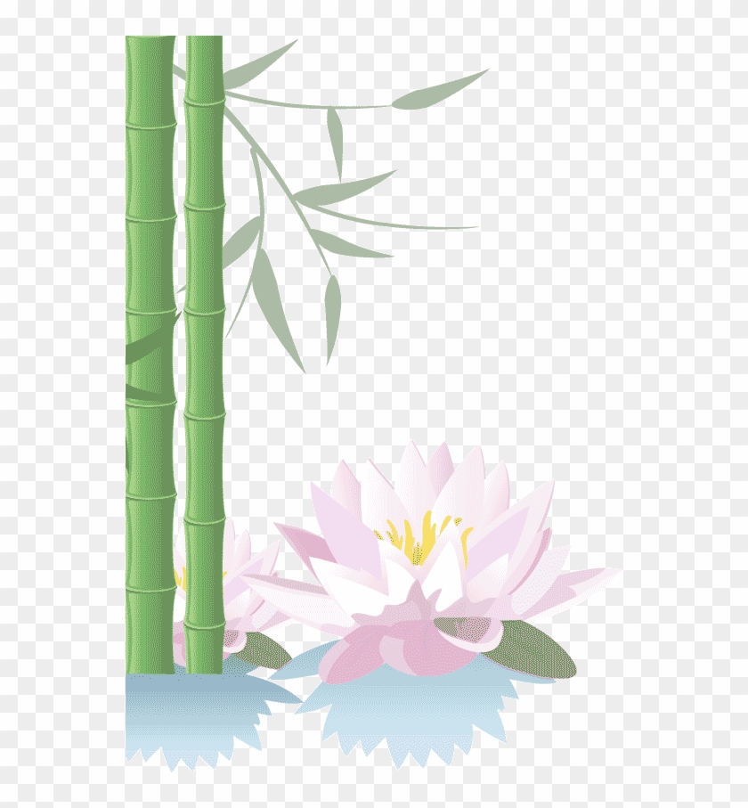 Welcome To Charley's Thai Cuisine - Bamboo With Butterfly Background Hd Clipart