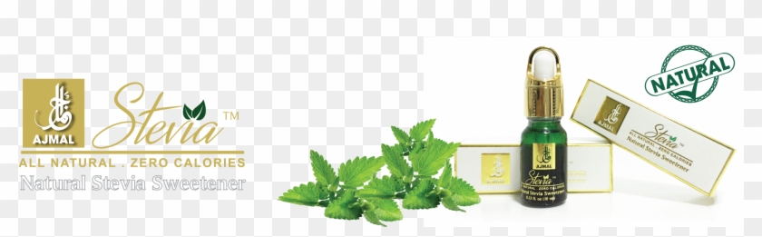 Test2 - Stevia Ajmal Clipart