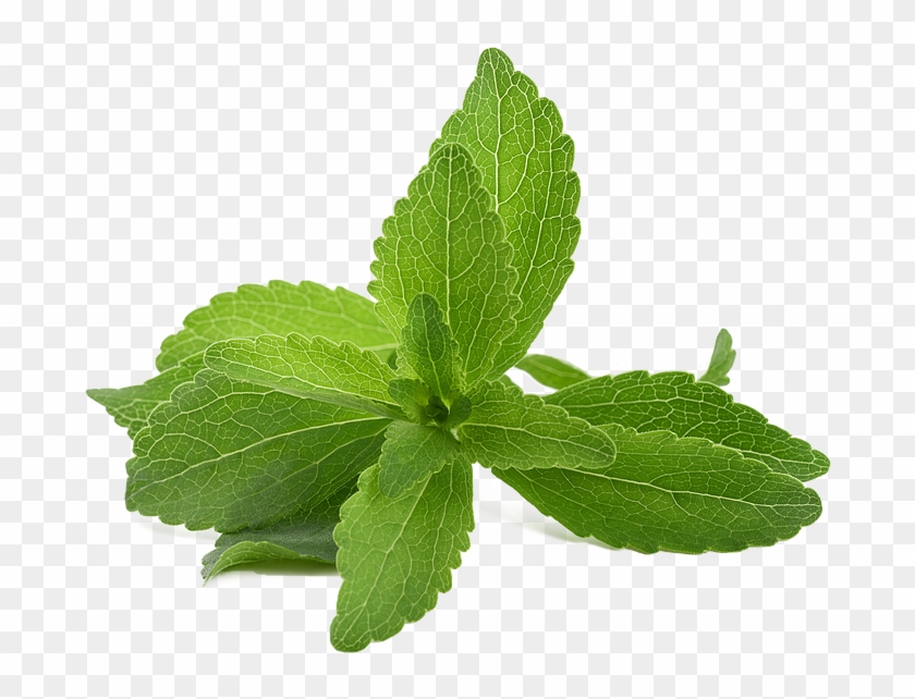 Stevia - Stevia Powder Clipart #3315348