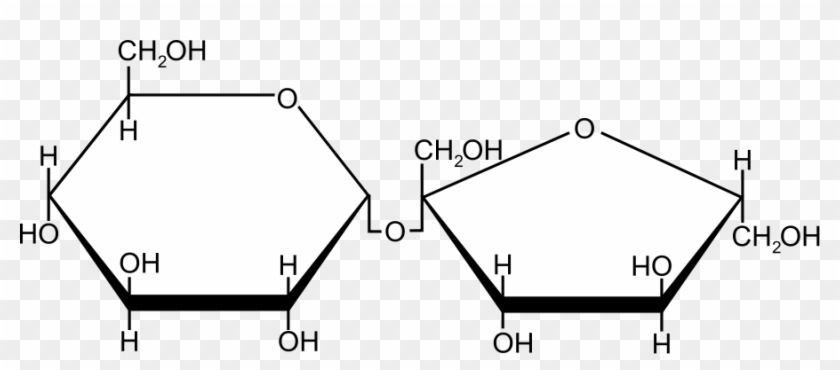 Png - Graphic Design Clipart #3315609