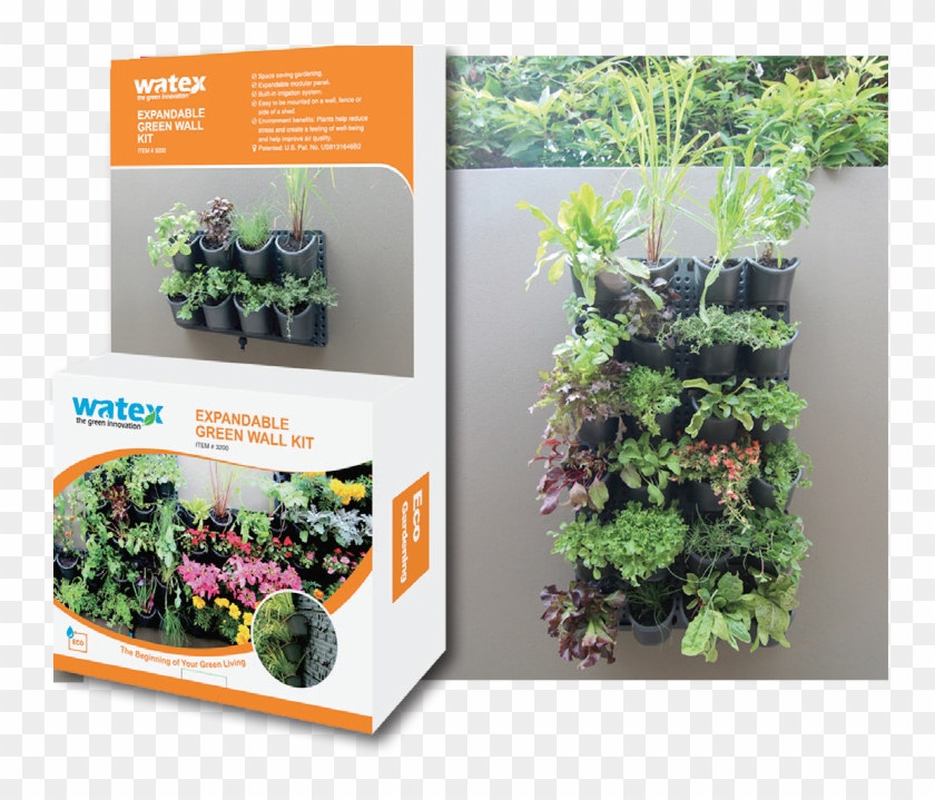 Green Wall Vertical Garden System - Growing Plants Up A Wall Clipart