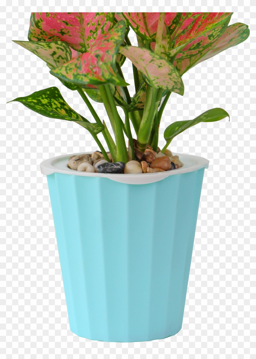 Cheap Fiber Clay Cement Vertical Garden Large Flower - Flowerpot Clipart #3316264