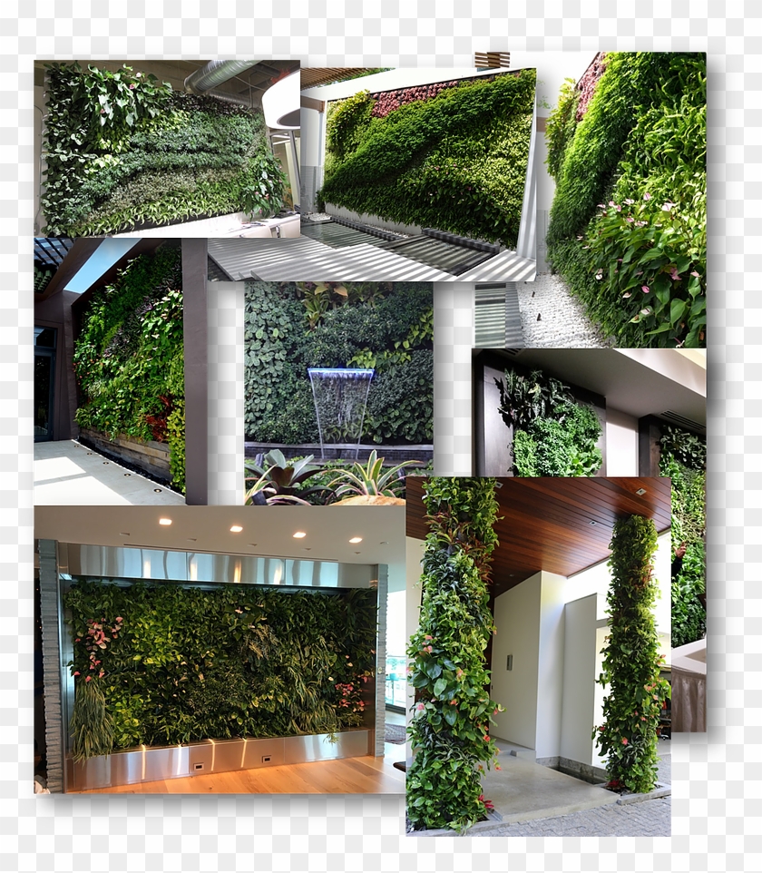 Miami Vertical Gardens And Green Living Walls, Portfolio, - Arch Clipart #3316388