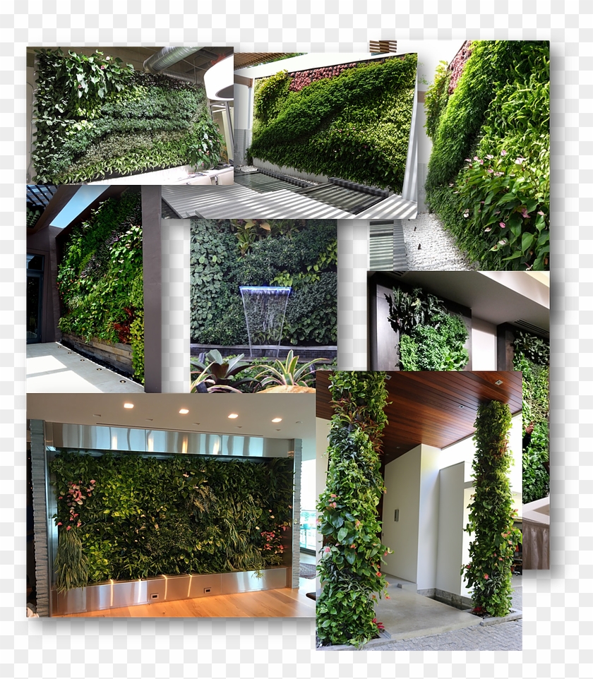 Miami Vertical Gardens And Green Living Walls, Portfolio, - Arch Clipart
