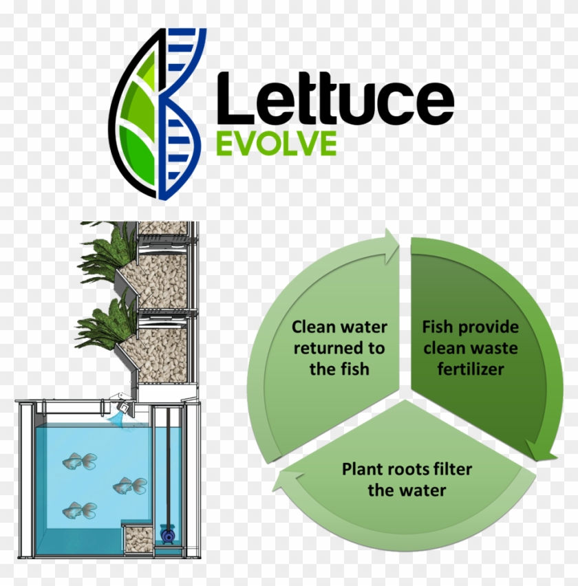 Aquarium Powered Vertical Garden - Vertical Garden With Fish Clipart