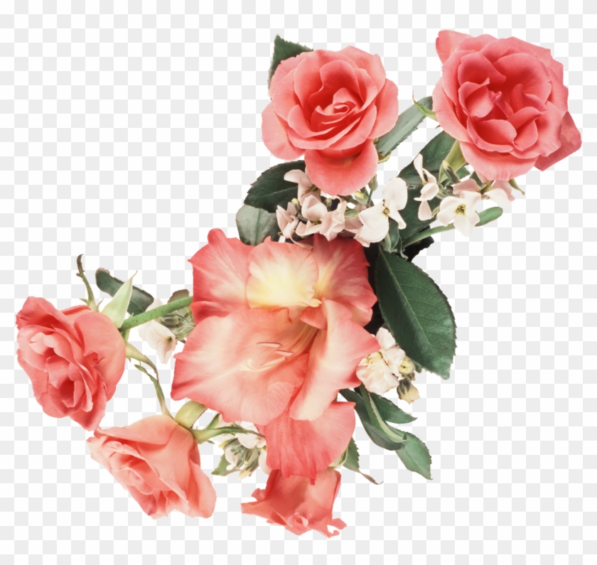Gifs De Flores - Bonitas De Flores Con Movimiento Clipart