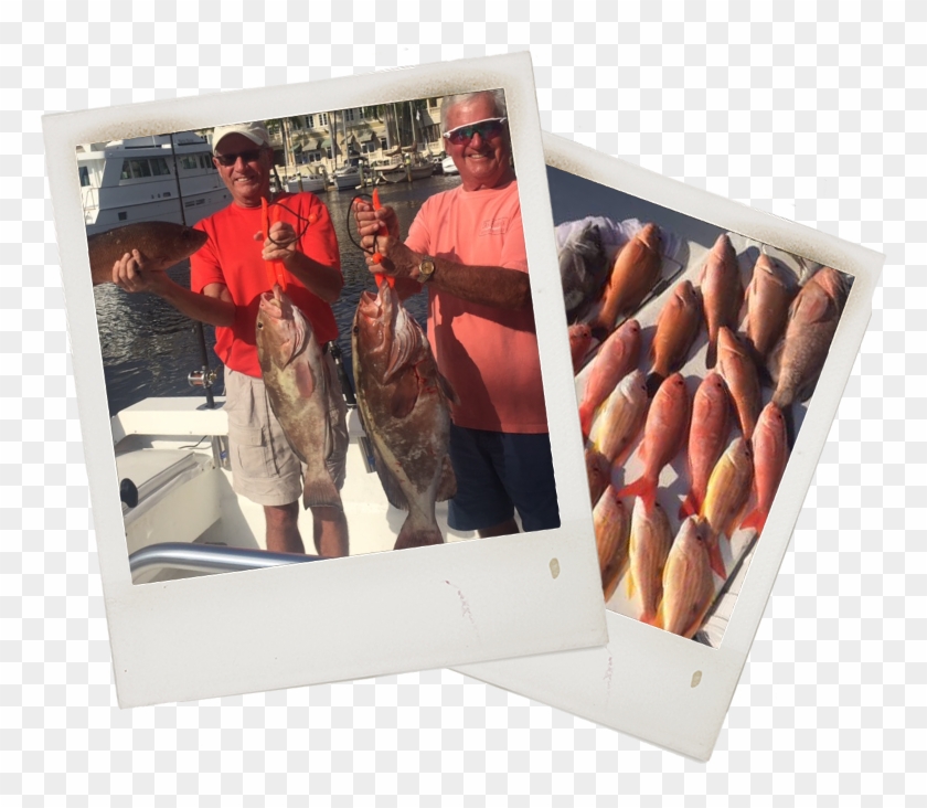 Snapper Fishing Charter In Fort Myers - Box Clipart #3317801