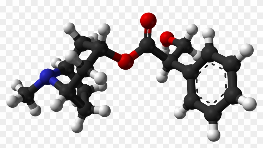 3d Model Of Molecules Vector Clipart Image - Molecule Atropine - Png Download