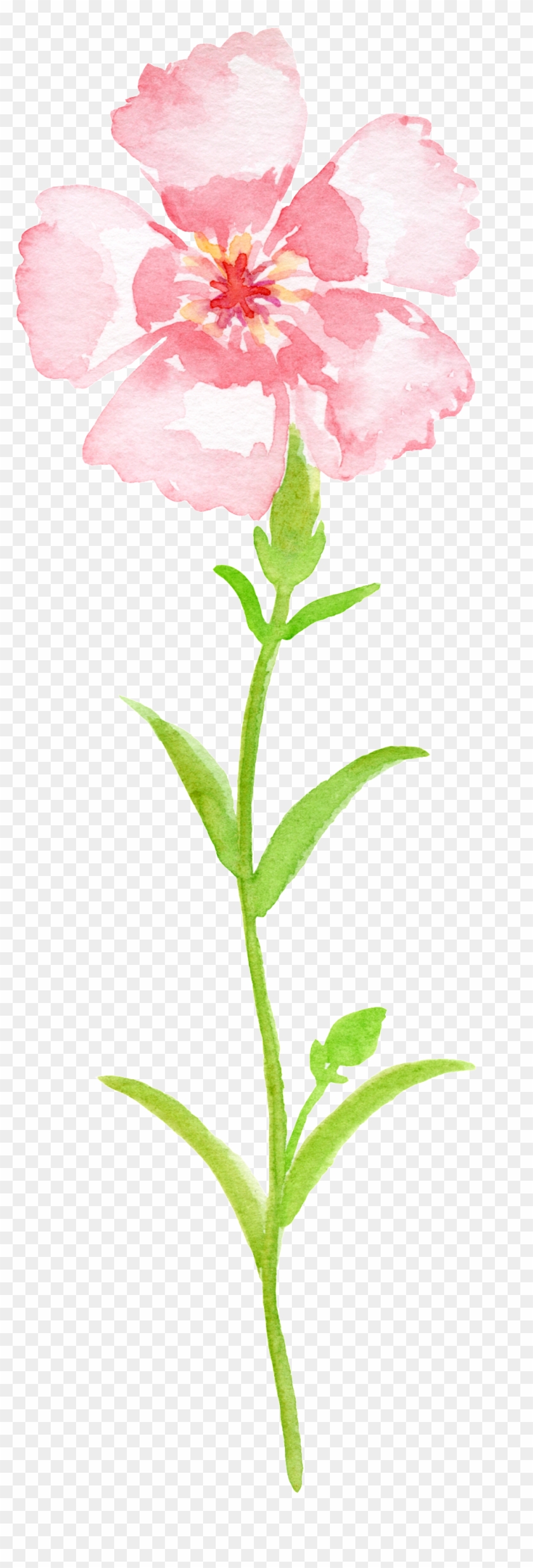 This Graphics Is Pink Gradient Bouquet Transparent - Impatiens Clipart