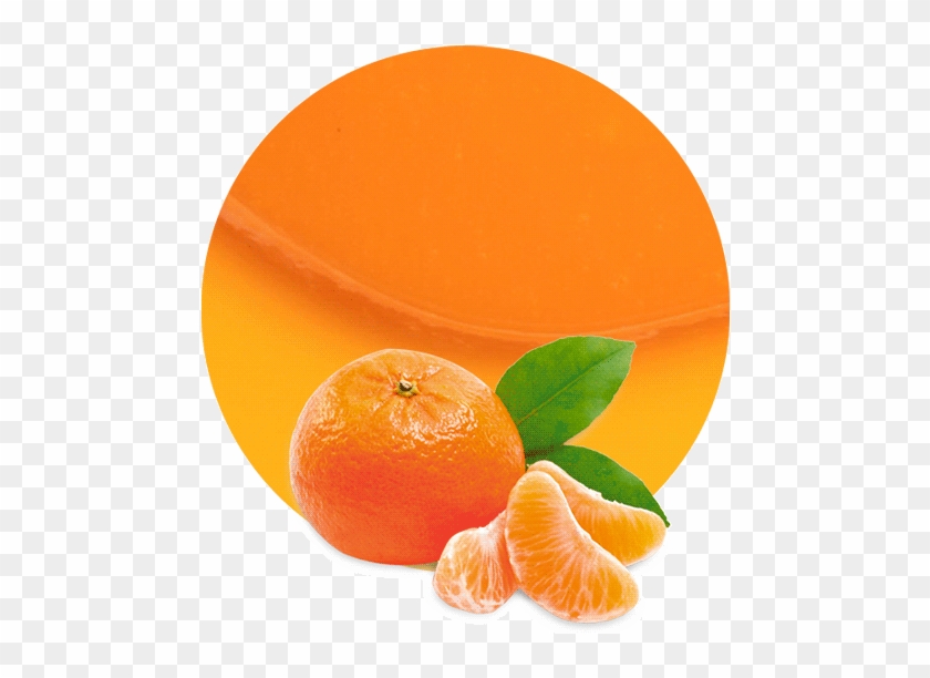 Mandarin Concentrate - Tangerine Fruit Png Clipart #3318938