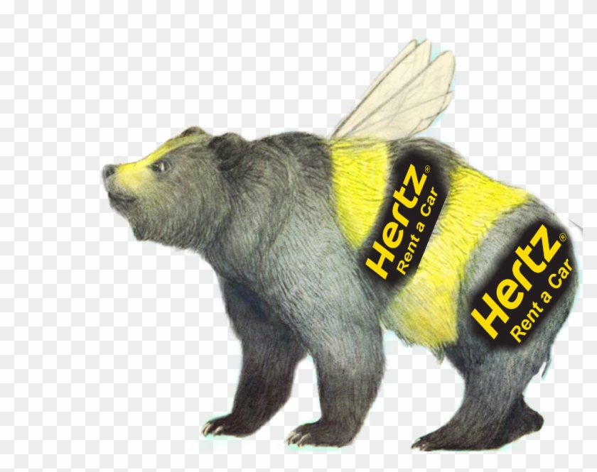 #bee #hertz #usro #abelha #bear - Bumble Bear Clipart #3320626