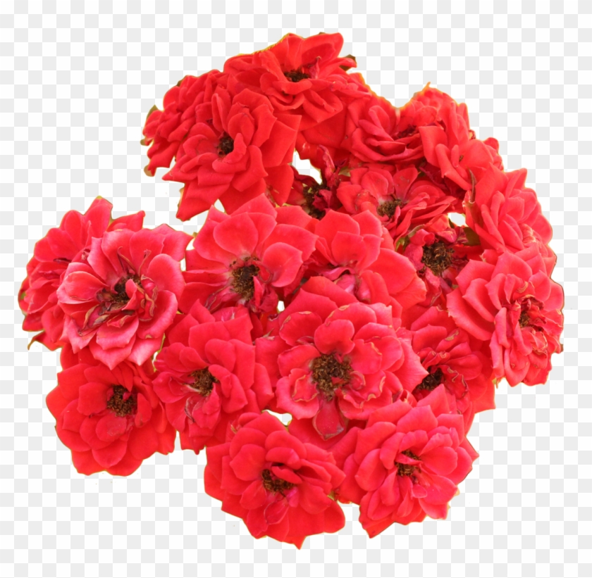 Flores Brancas Rosas Vermelhas - Bouquet Clipart