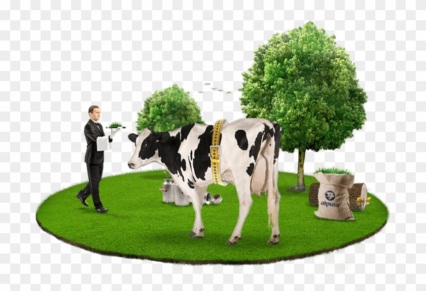 Alpura Nuestras Vacas Bienstar - Dairy Cow Clipart