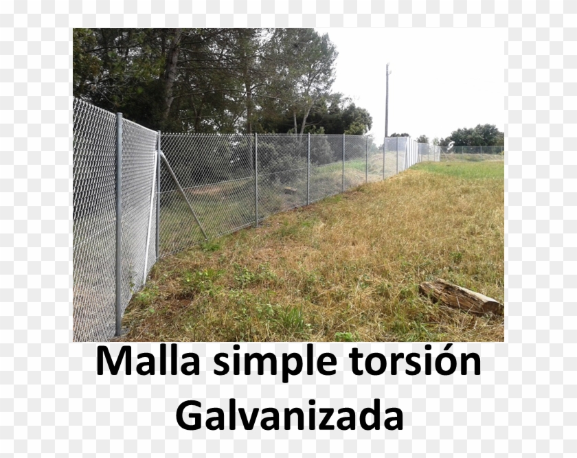 Alturas Para El Cerramiento Malla Simple Torsión Galvanizada - Barbed Wire Clipart