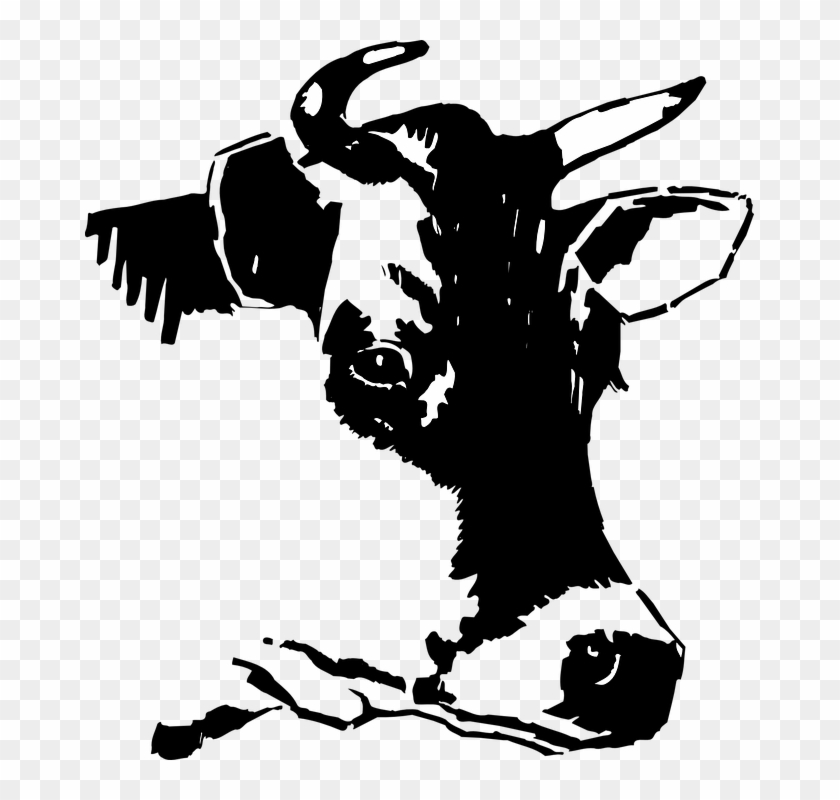 Cabeza De Vaca Png - Clipart Black And White Cow Transparent Png #3321318