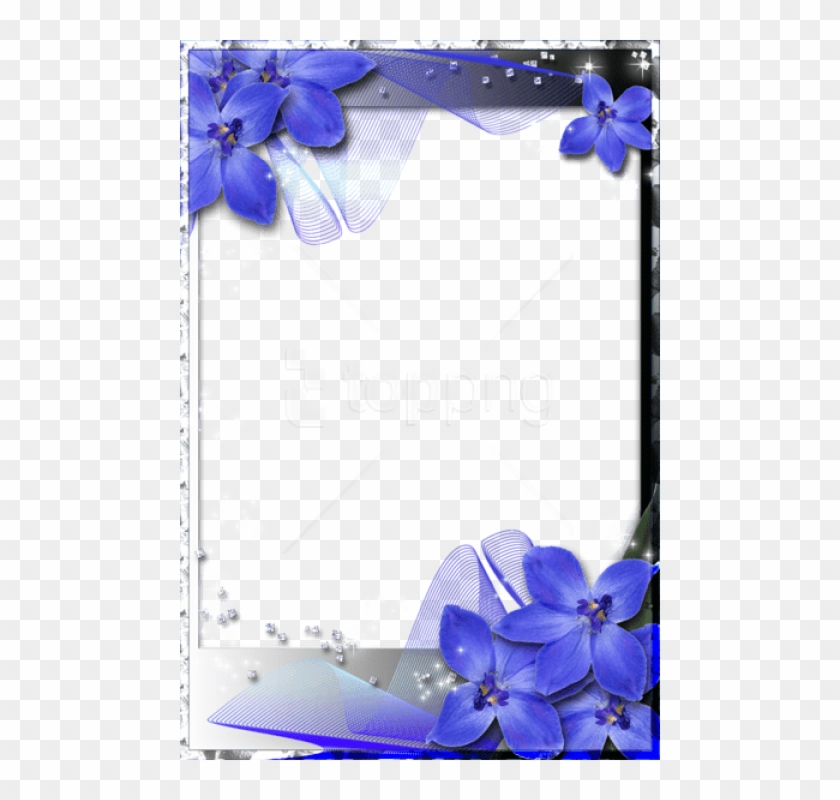 Free Best Stock Photos Beautiful Transparent Frame - Beautiful Photo Frame Border Clipart #3322952