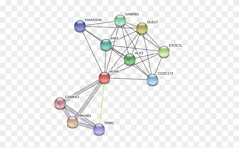 Circle Clipart #3323023