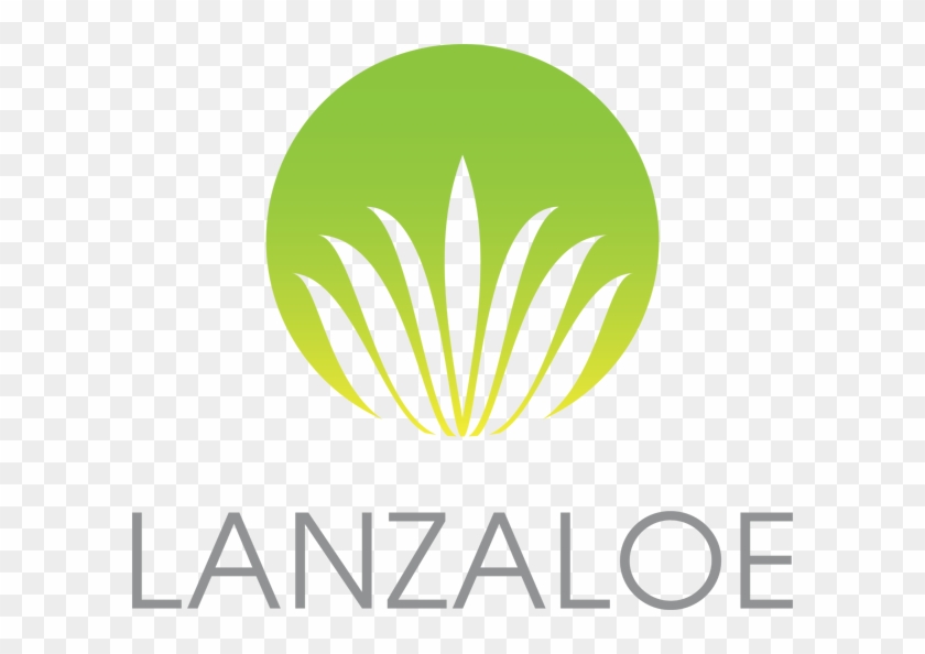 About Lanzaloe - Logos De Shampoo De Sabila Clipart #3323061