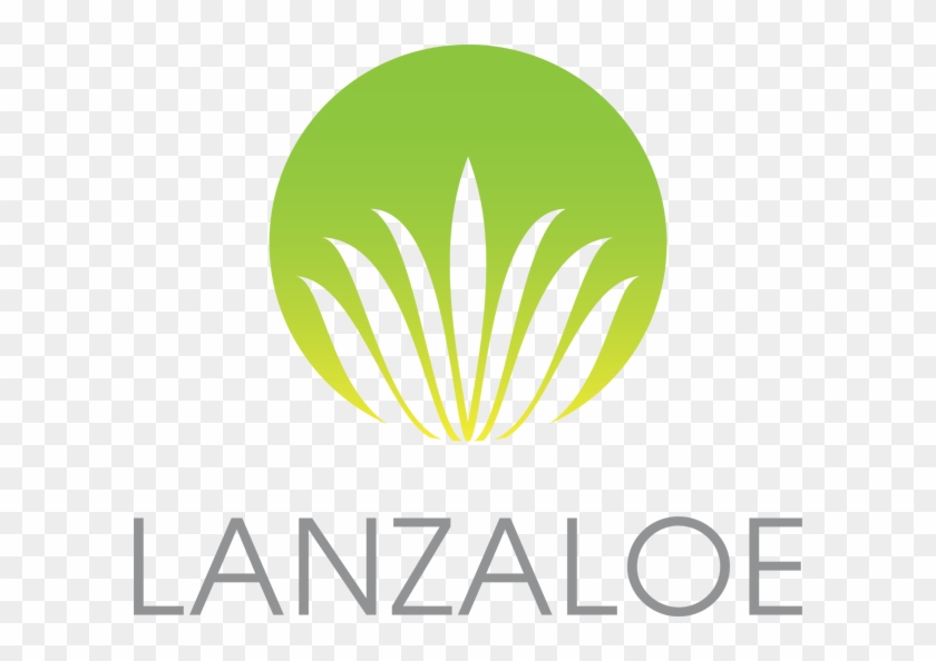 About Lanzaloe - Logos De Shampoo De Sabila Clipart