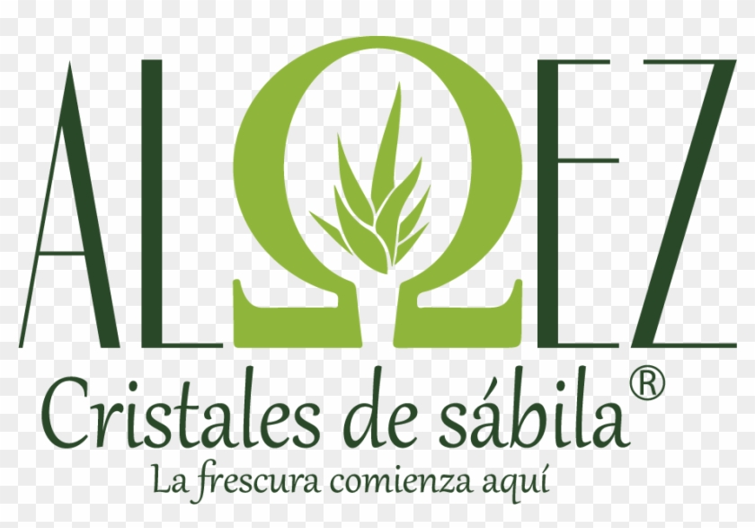 $4900 - Graphic Design Clipart