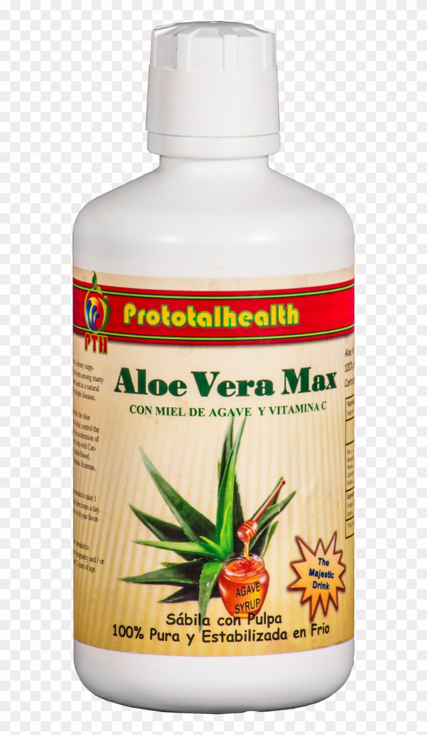Aloe Clipart