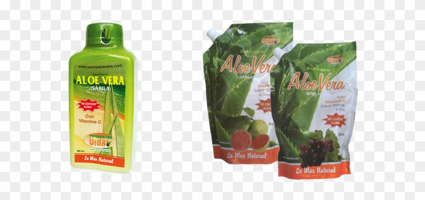 Regeneracionweb - Bottle Clipart #3323328