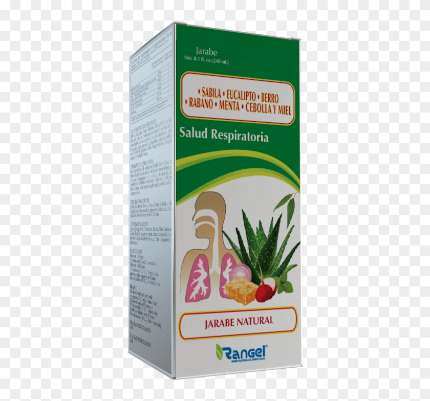 Sabila, Eucalipto, Berro, Rabano, Menta, Cebolla Y - Jarabe De Berro Cebolla Y Miel Clipart