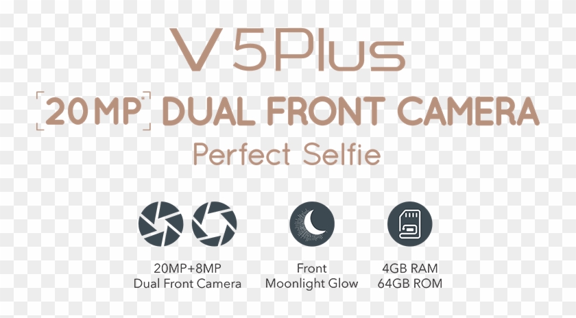 V5plus - Pinups For Pitbulls Clipart #3323506