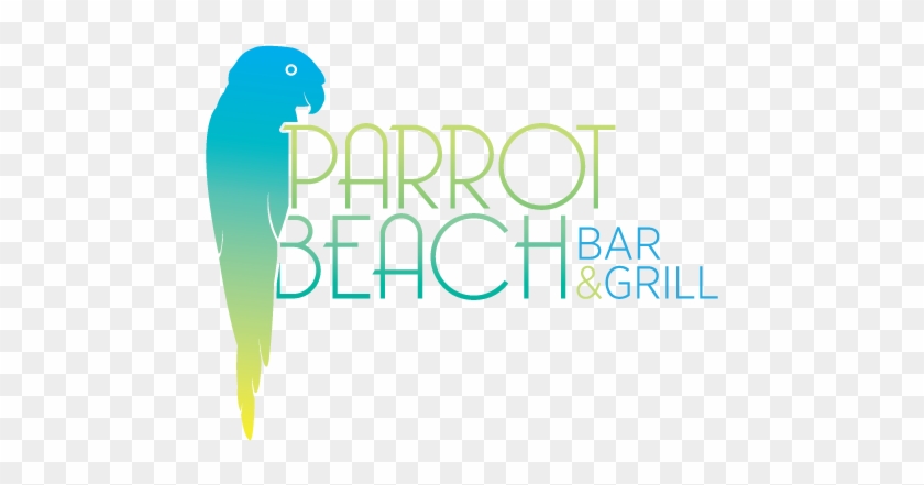 Parrot Logo - Google Search - Parrot Logos Clipart #3324447
