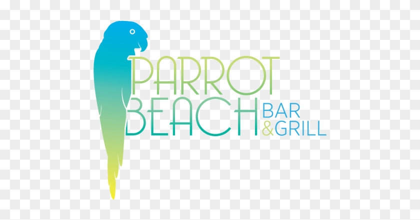 Parrot Logo - Google Search - Parrot Logos Clipart