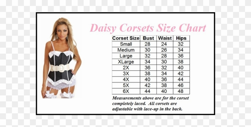 Size 38 Corset Clipart