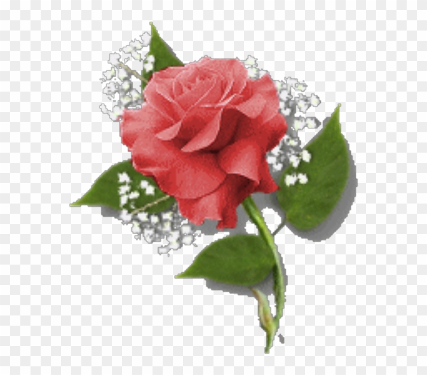 Flores En Png Para Photoshop - Name Day Clipart #3325077