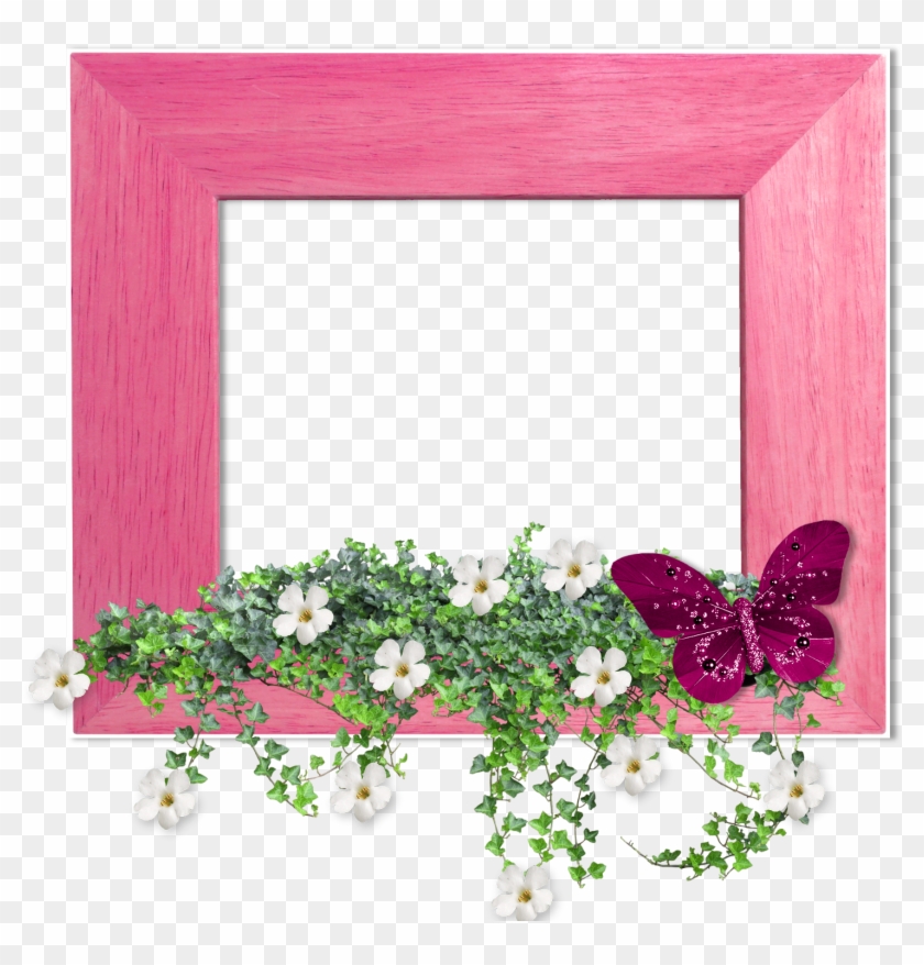 Marcos Para Fotos Con Flores - Enredadera Png Clipart