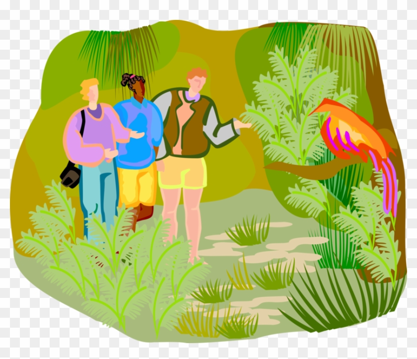 Walk Vector Nature - Walking In Nature Clipart - Png Download #3326213