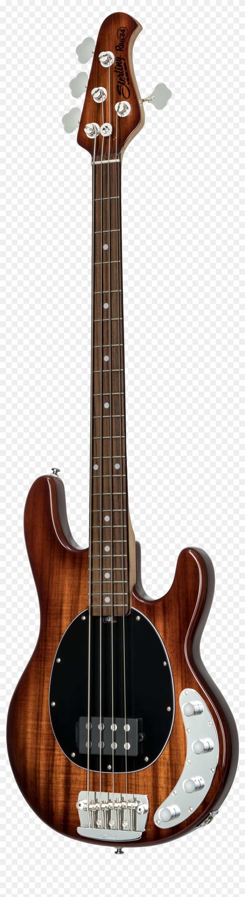 Sterling By Music Man Stingray W/ Koa Top Clipart