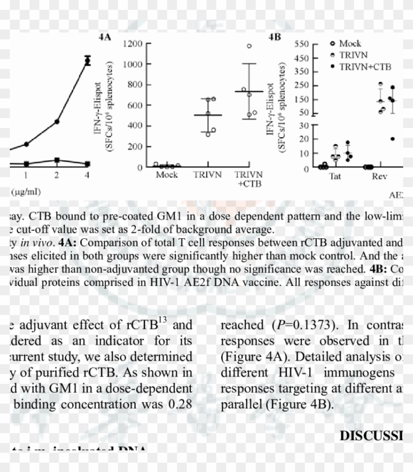 Expression Analysis By Sds-page And Western Blotting - Circle Clipart
